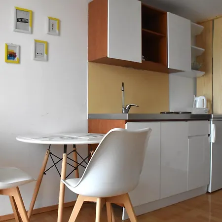 Bache Apartment *